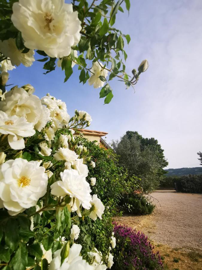 Bed and Breakfast La Casa Dei Tigli Cannara Екстер'єр фото