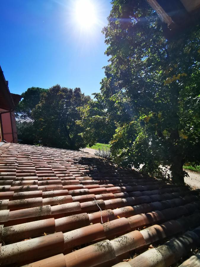 Bed and Breakfast La Casa Dei Tigli Cannara Екстер'єр фото